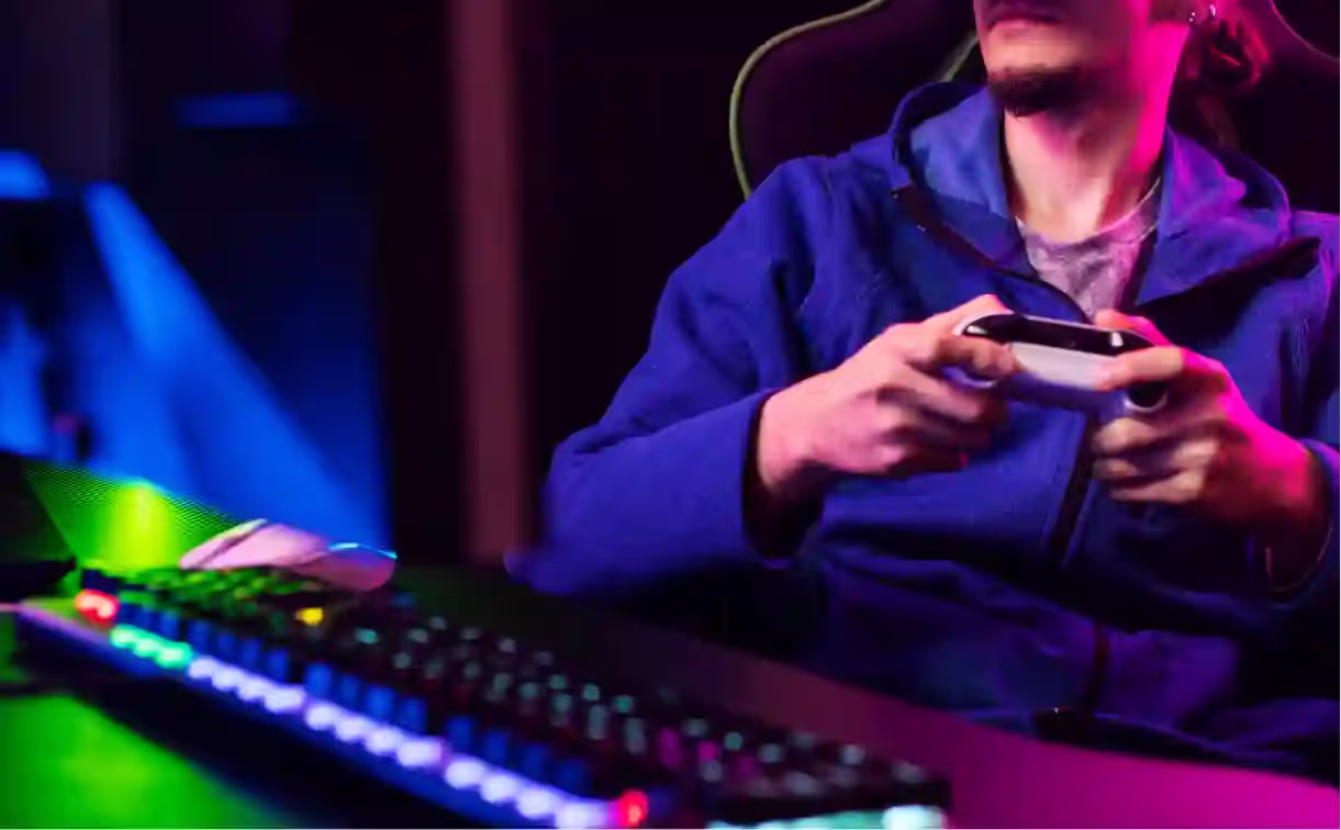 The Concept of Digital Ownership